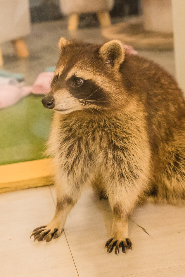 175A1993.jpg 175A1993.jpg