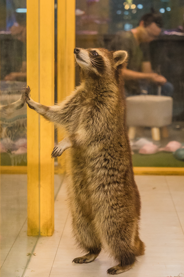 175A1999.jpg 175A1999.jpg