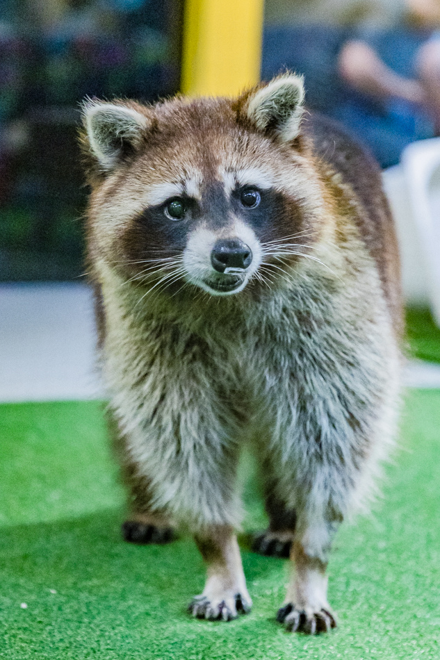 175A2006.jpg 175A2006.jpg