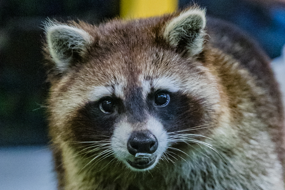 175A2007.jpg 175A2007.jpg