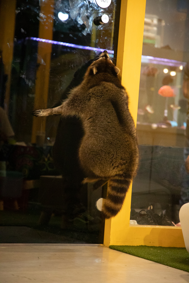 175A2011.jpg 175A2011.jpg