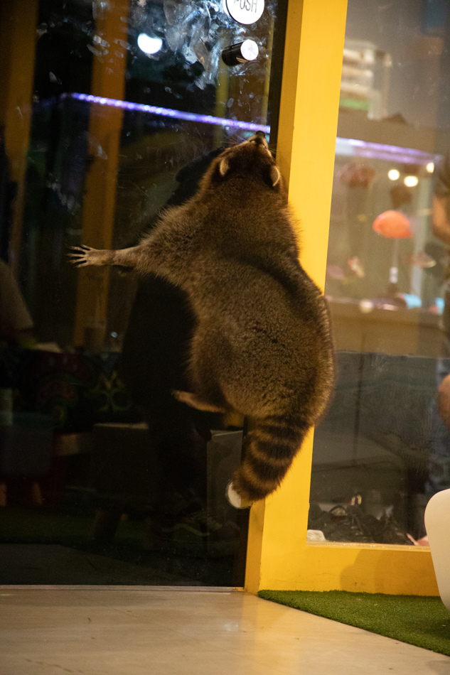 175A2012.jpg 175A2012.jpg