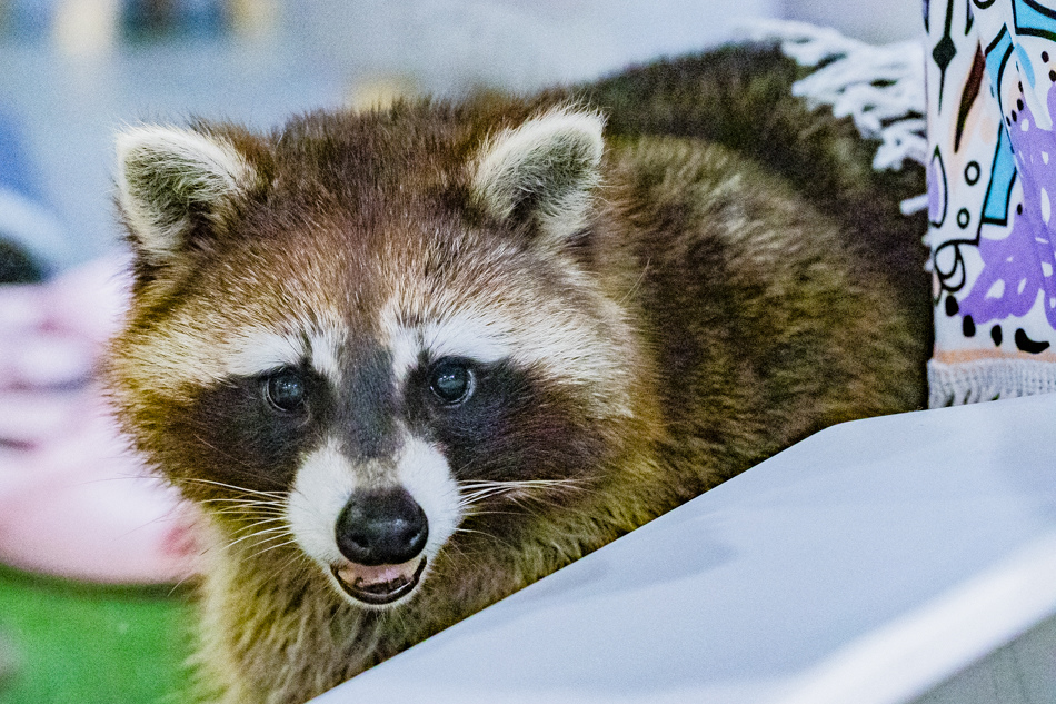 175A2017.jpg 175A2017.jpg