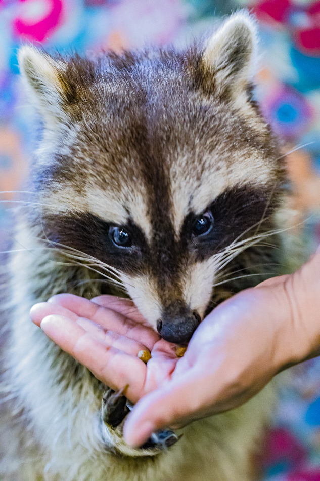 175A2031.jpg 175A2031.jpg