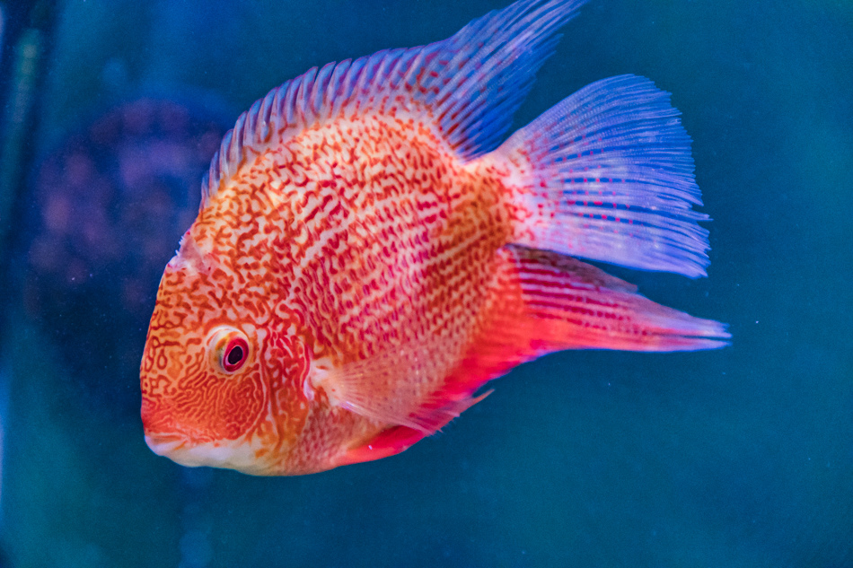 175A2042.jpg 175A2042.jpg