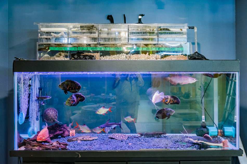 175A2044.jpg 175A2044.jpg