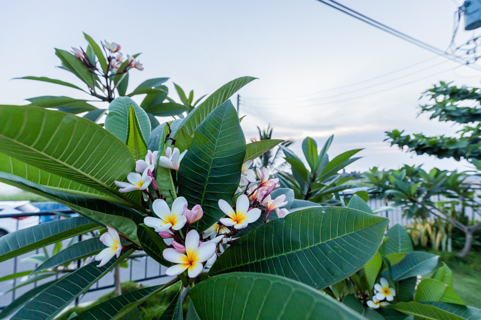 175A2978.jpg 175A2978.jpg