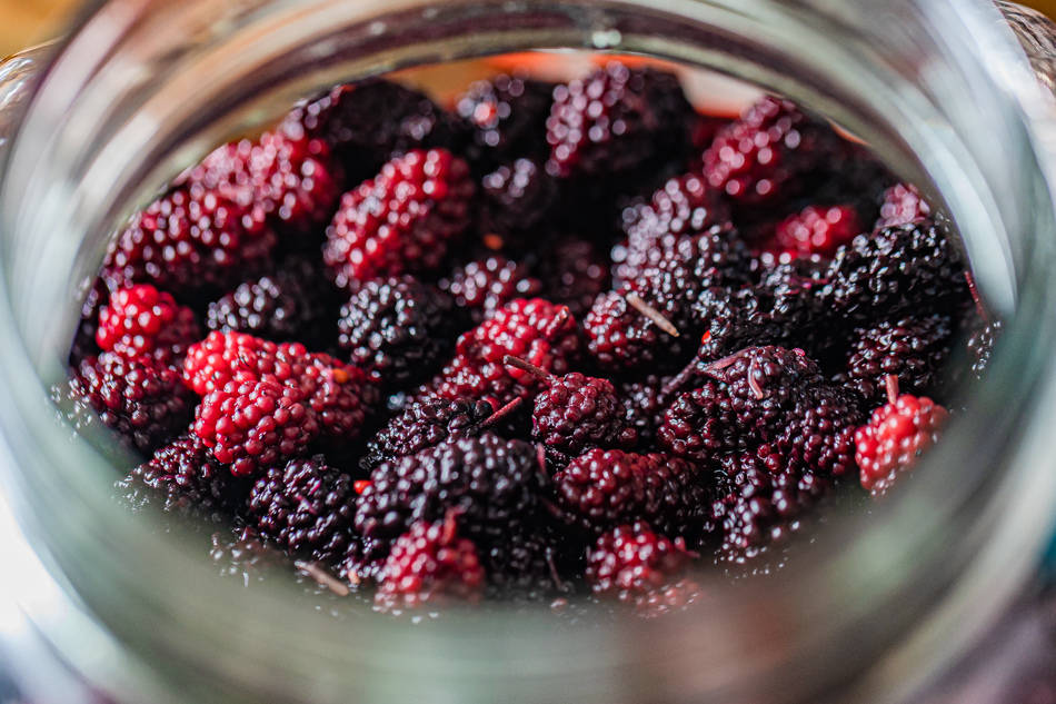 175A3358.jpg 175A3358.jpg