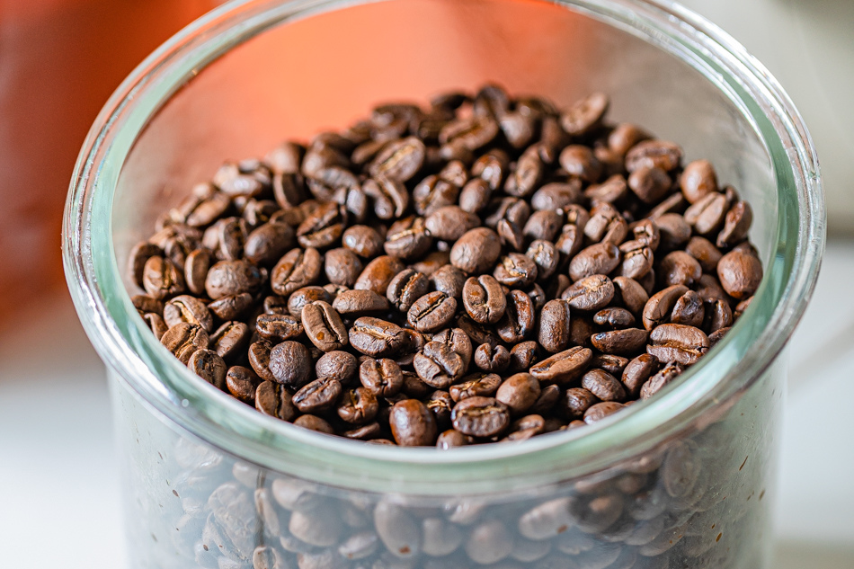 175A3359.jpg 175A3359.jpg