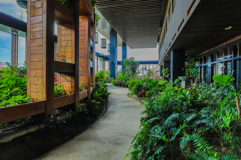 175A4137.jpg 175A4137.jpg