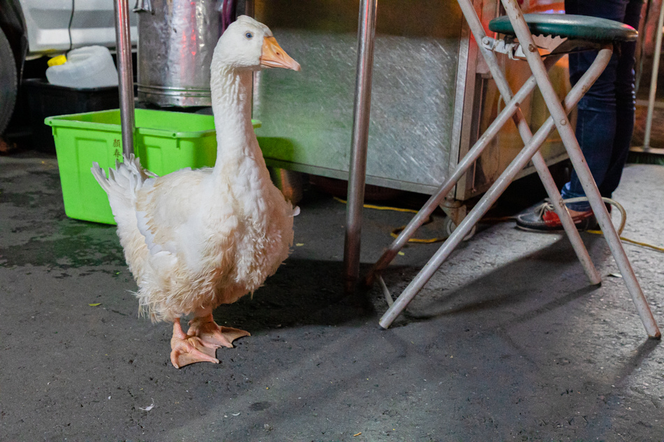 175A4027.jpg 175A4027.jpg