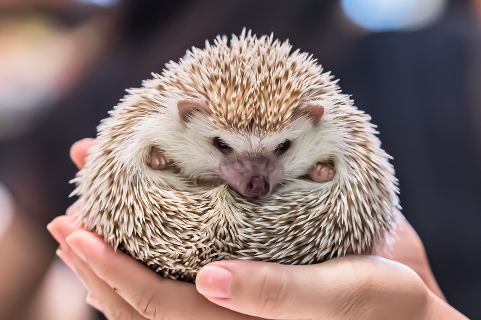 175A5993.jpg 175A5993.jpg