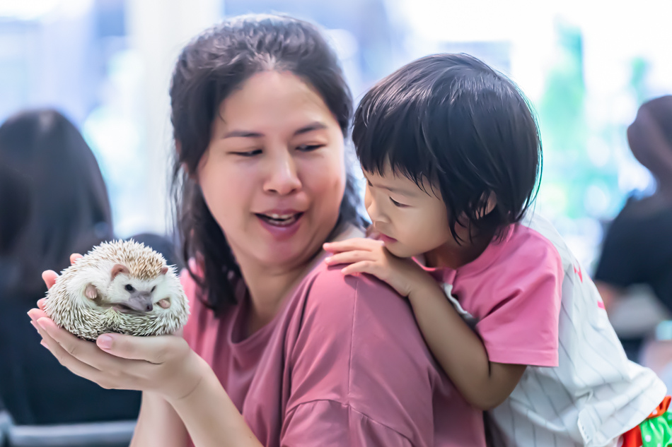 175A5995.jpg 175A5995.jpg