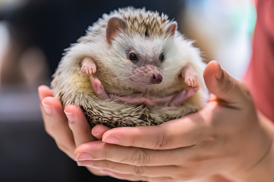 175A5997.jpg 175A5997.jpg