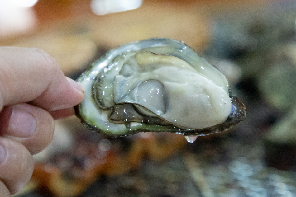 175A4939.jpg 175A4939.jpg