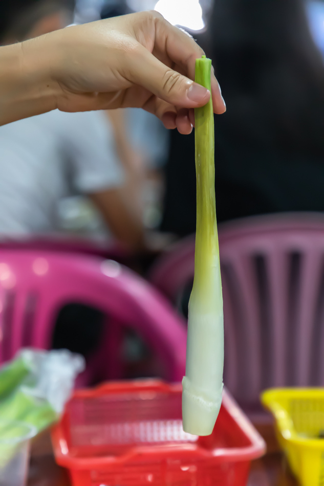 175A4940.jpg 175A4940.jpg