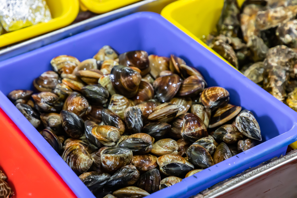 175A4967.jpg 175A4967.jpg