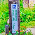 175A2355.jpg
