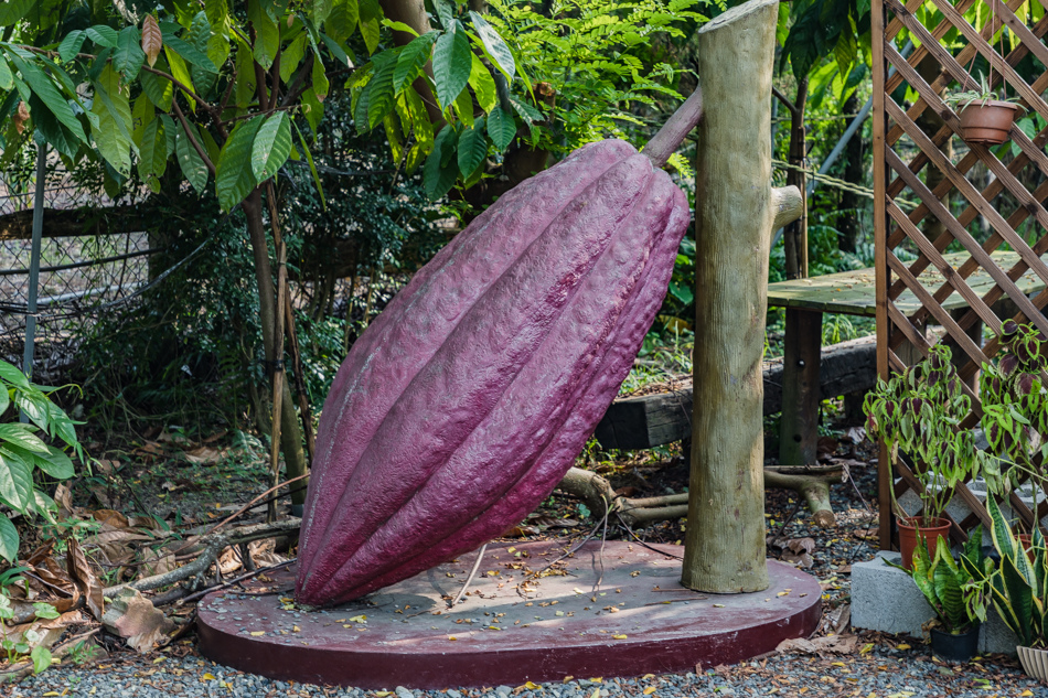 屏東萬巒可茵山可可莊園