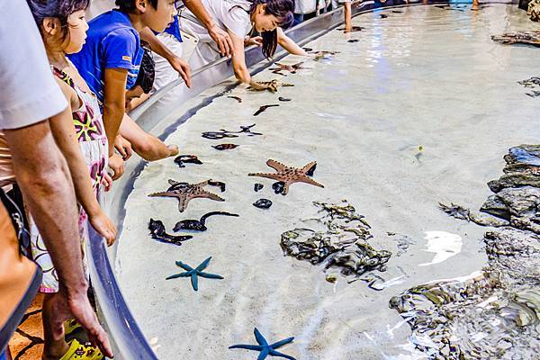 沖繩景點 - 美麗海水族館