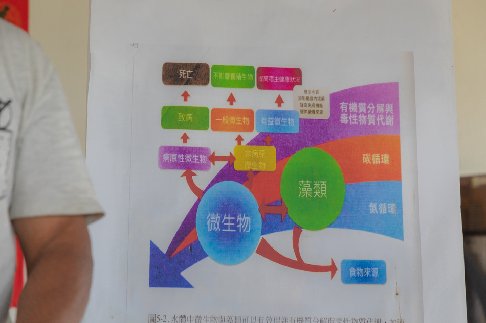 50分life工作室 / 漁場生態導覽 & 生態養殖講解 & 一夜干DIY 50分life工作室 / 漁場生態導覽 & 生態養殖講解 & 一夜干DIY