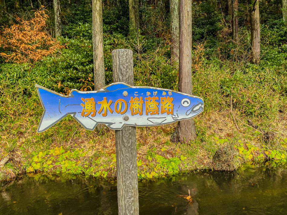 牛渡川、丸池様