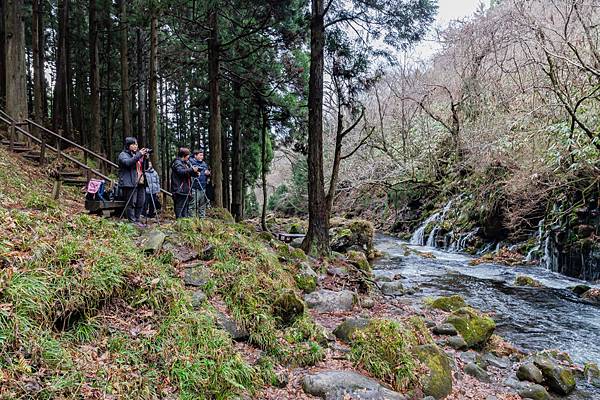 秋田縣由本利莊市景點元滝伏流水