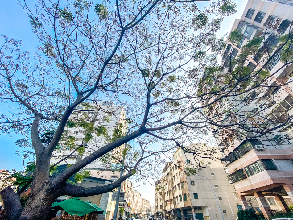 楠梓美食 - 壹號樹早午餐