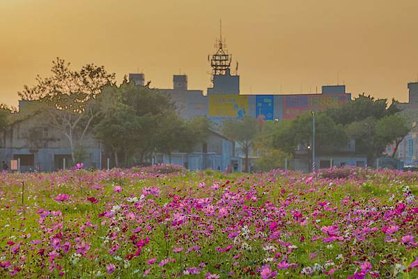 岡山沙坑