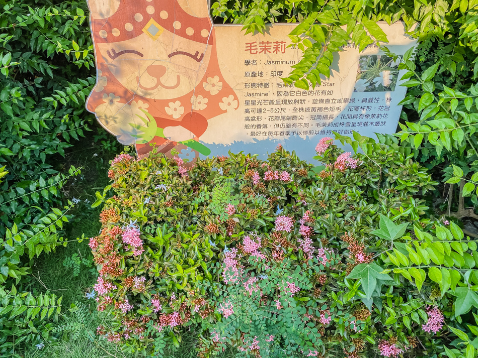 茉莉花壇夢想館