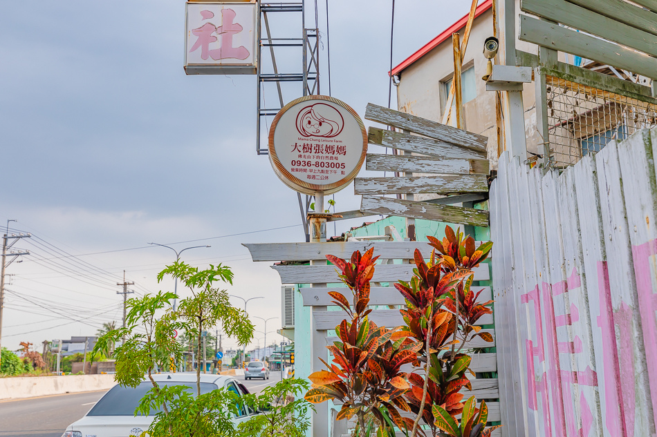 大樹張媽媽桑椹休閒農場