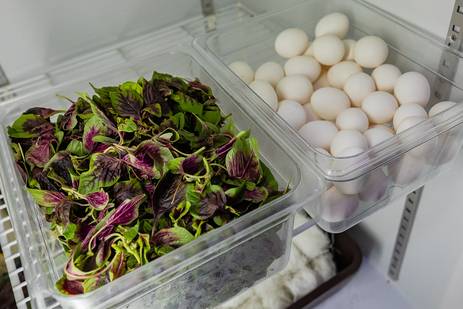 高雄美食 / 高雄吃到飽 / 拾貝鍋物 高雄美食 / 高雄吃到飽 / 拾貝鍋物