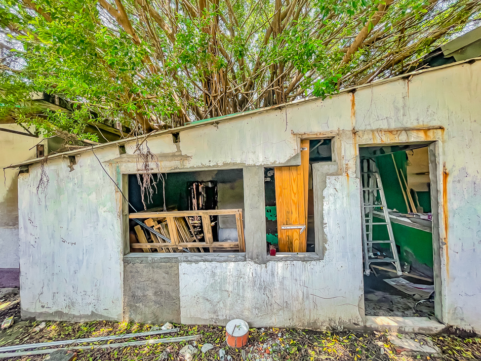 若生靜巷 若生靜巷