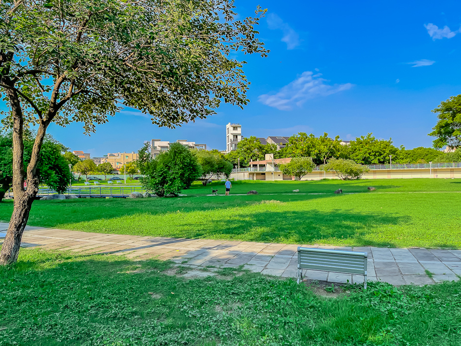 藍田公園羊駝 藍田公園羊駝