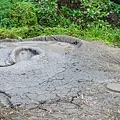 烏山頂泥火山 / 新養女湖 / 雞冠山