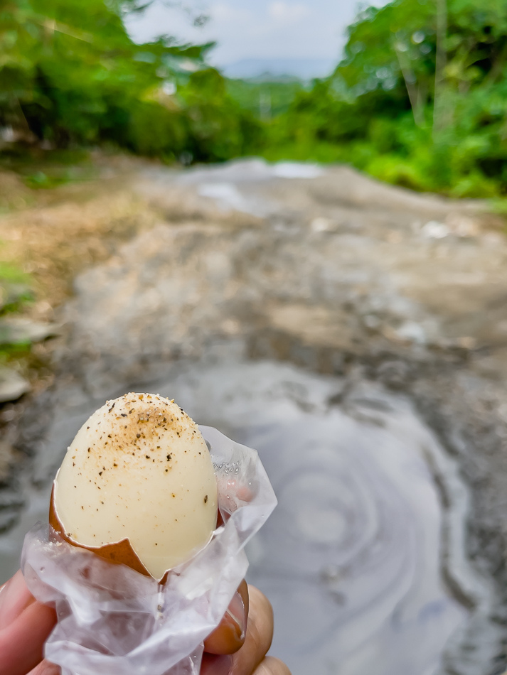 烏山頂泥火山 / 新養女湖 / 雞冠山