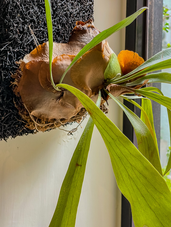 自然熟店內環境 自然熟店內環境