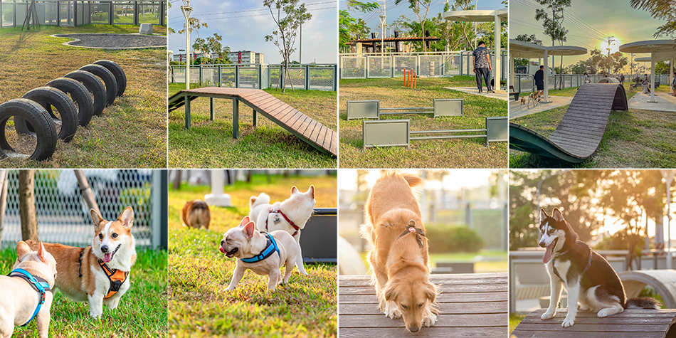 岡山狗狗公園