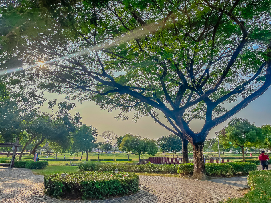 五甲公園 五甲公園