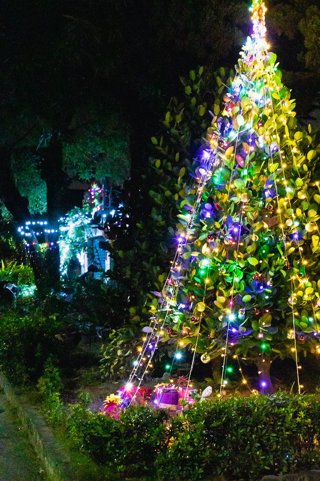 左營建業新村 - 2021光之眷-詩光荏苒 / 聖誕活動 左營建業新村 - 2021光之眷-詩光荏苒 / 聖誕活動