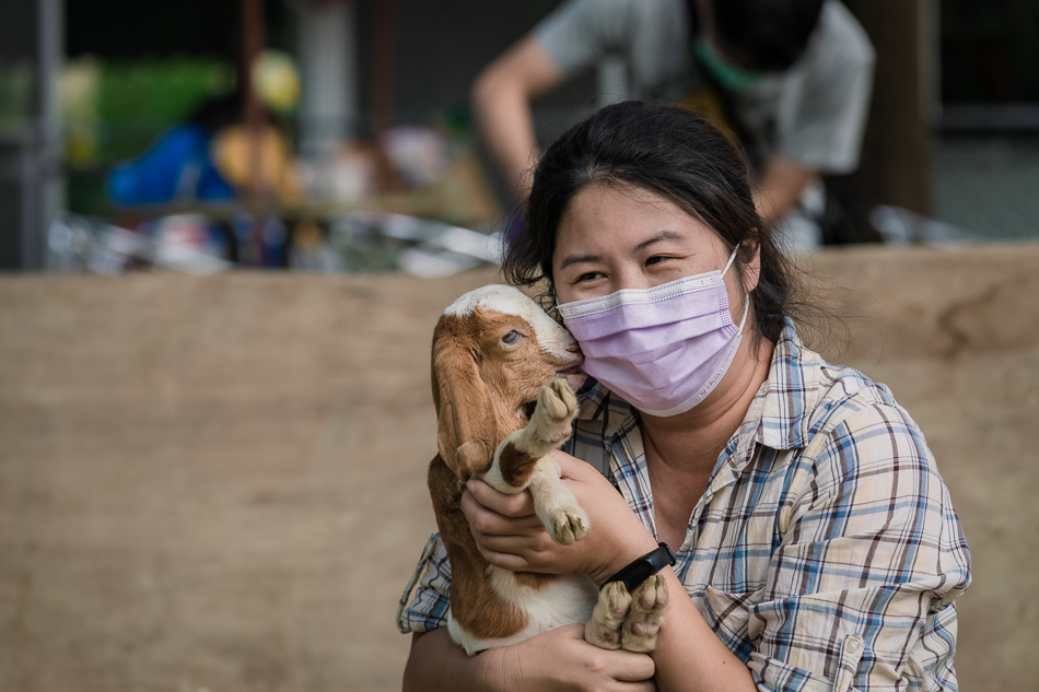 八老爺車站 - 乳牛的家 八老爺車站 - 乳牛的家