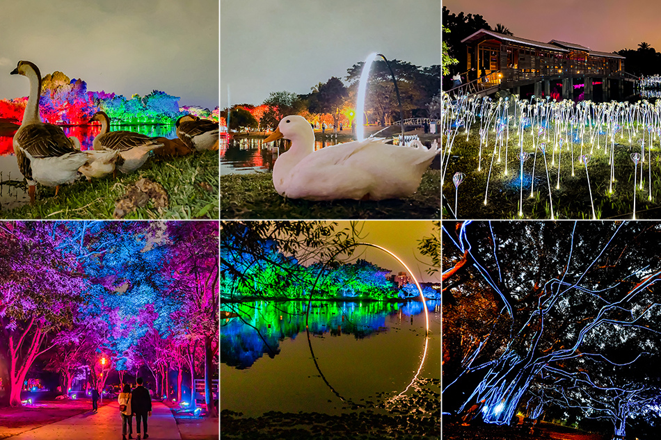 2022年台灣燈會在高雄 / 衛武營燈區 2022年台灣燈會在高雄 / 衛武營燈區