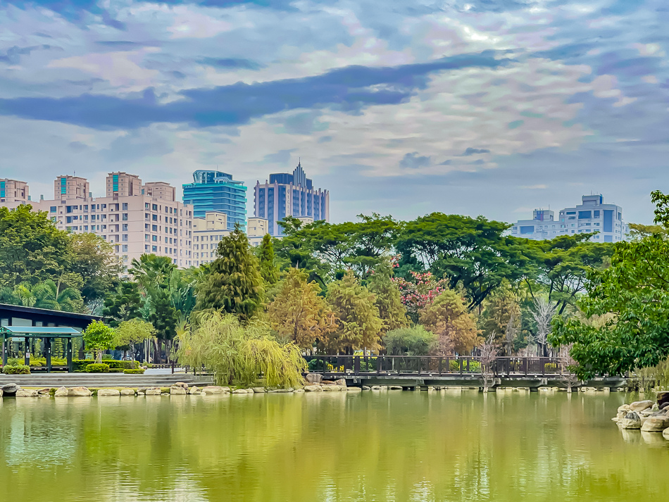 凹子底公園賞落羽松