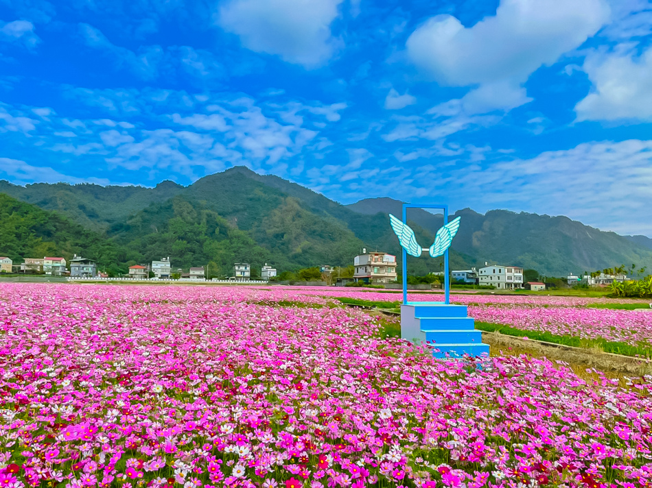 茶亭花區