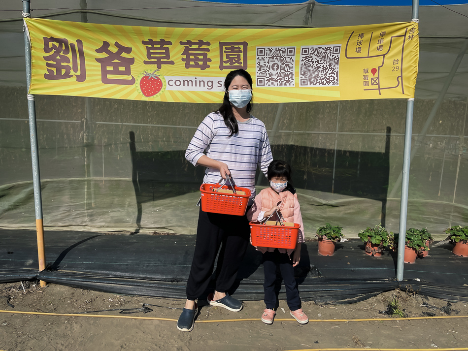 大樹 劉爸草莓園