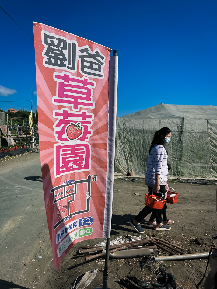 大樹 劉爸草莓園
