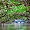 台南景點》四草綠色隧道