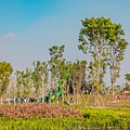 共融式公園新亮點 前鎮時代公園