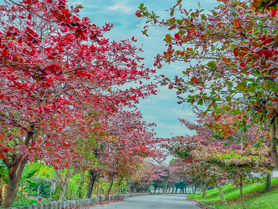 崁頂特色公園 崁頂特色公園