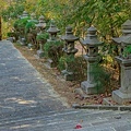 旗山特色公園 (33).jpg